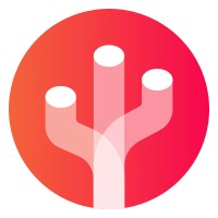 Python Developer - Cactus